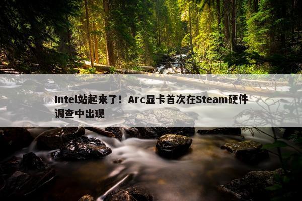 Intel站起来了！Arc显卡首次在Steam硬件调查中出现