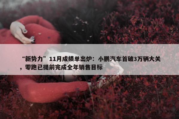 “新势力”11月成绩单出炉：小鹏汽车首破3万辆大关，零跑已提前完成全年销售目标