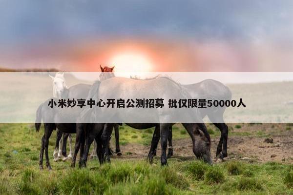 小米妙享中心开启公测招募 批仅限量50000人