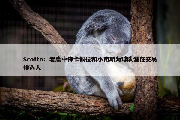 Scotto：老鹰中锋卡佩拉和小南斯为球队潜在交易候选人