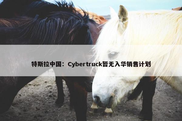 特斯拉中国：Cybertruck暂无入华销售计划