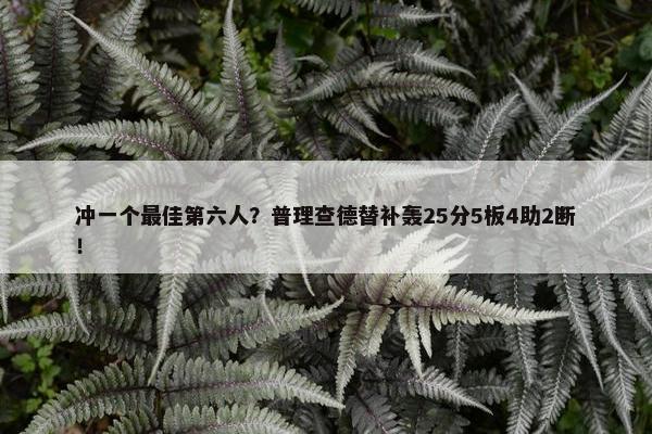 冲一个最佳第六人？普理查德替补轰25分5板4助2断！