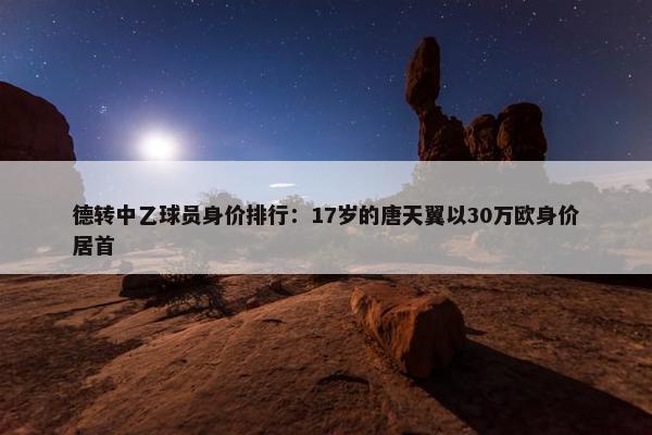 德转中乙球员身价排行：17岁的唐天翼以30万欧身价居首