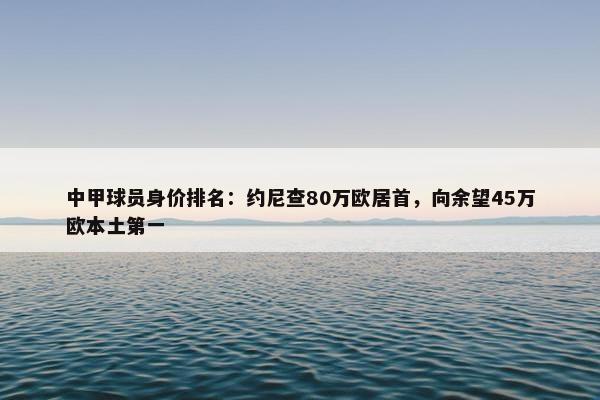 中甲球员身价排名：约尼查80万欧居首，向余望45万欧本土第一