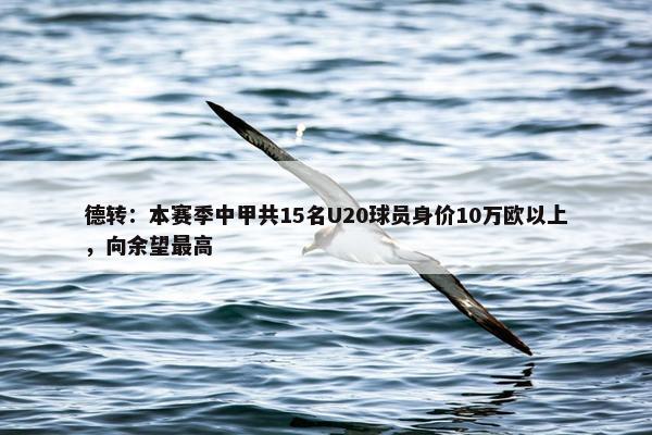 德转：本赛季中甲共15名U20球员身价10万欧以上，向余望最高