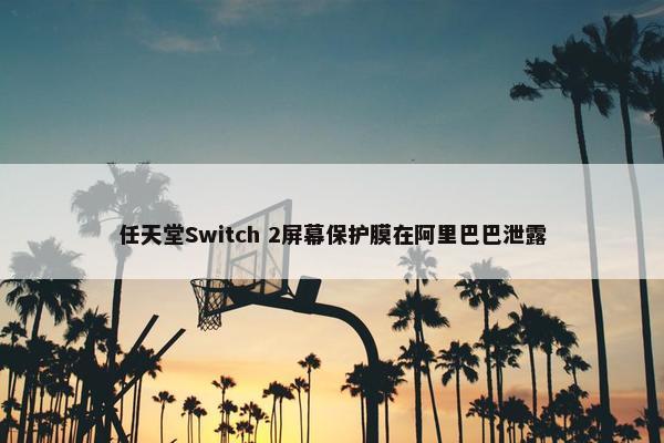 任天堂Switch 2屏幕保护膜在阿里巴巴泄露