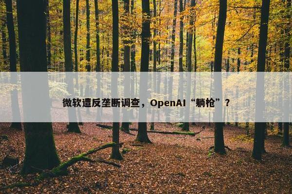 微软遭反垄断调查，OpenAI“躺枪”？