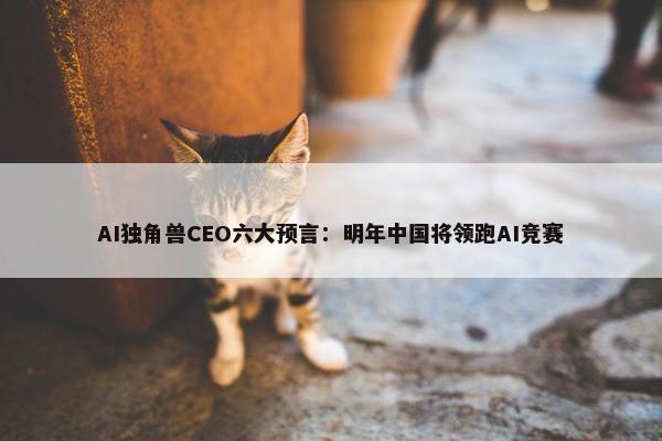 AI独角兽CEO六大预言：明年中国将领跑AI竞赛