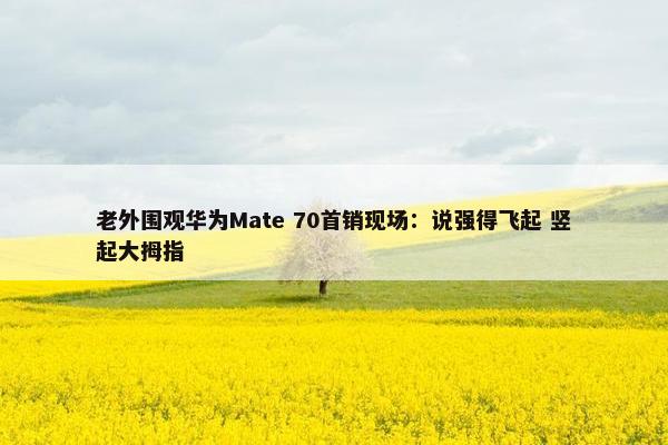 老外围观华为Mate 70首销现场：说强得飞起 竖起大拇指