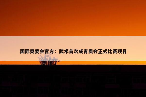 国际奥委会官方：武术首次成青奥会正式比赛项目