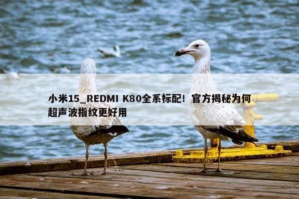 小米15_REDMI K80全系标配！官方揭秘为何超声波指纹更好用