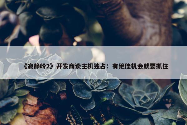 《寂静岭2》开发商谈主机独占：有绝佳机会就要抓住