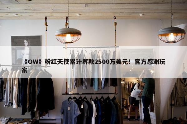 《OW》粉红天使累计筹款2500万美元！官方感谢玩家