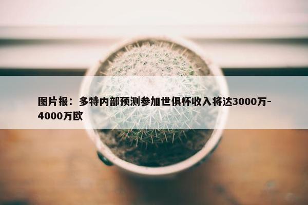 图片报：多特内部预测参加世俱杯收入将达3000万-4000万欧