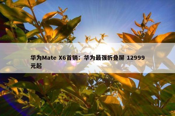 华为Mate X6首销：华为最强折叠屏 12999元起