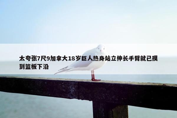 太夸张7尺9加拿大18岁巨人热身站立伸长手臂就已摸到篮板下沿