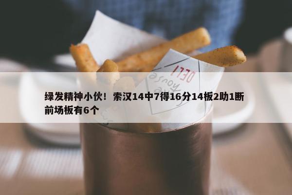 绿发精神小伙！索汉14中7得16分14板2助1断 前场板有6个