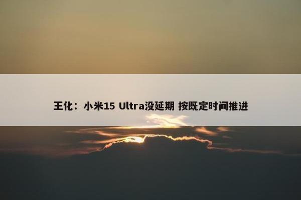 王化：小米15 Ultra没延期 按既定时间推进