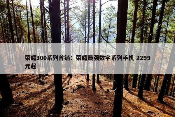 荣耀300系列首销：荣耀最强数字系列手机 2299元起