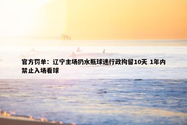 官方罚单：辽宁主场扔水瓶球迷行政拘留10天 1年内禁止入场看球