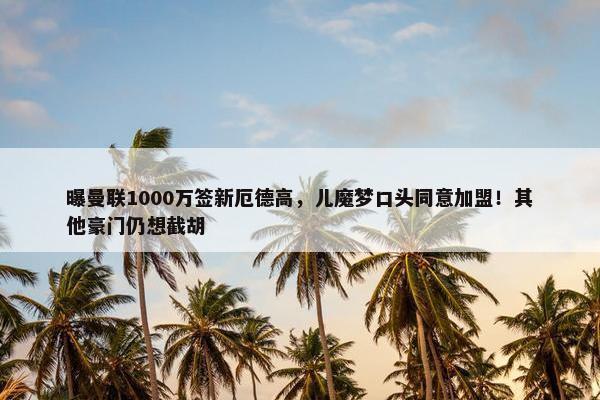 曝曼联1000万签新厄德高，儿魔梦口头同意加盟！其他豪门仍想截胡