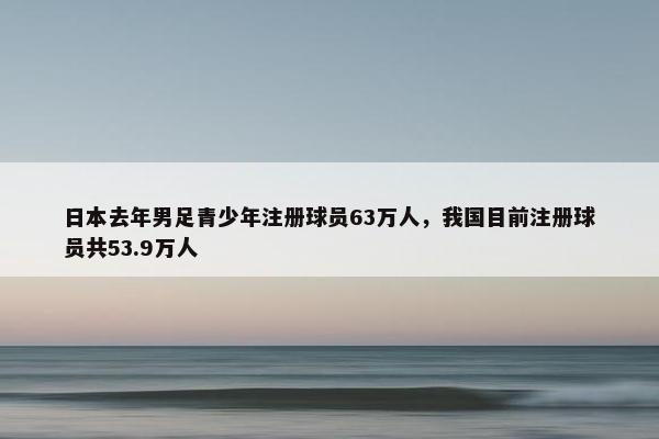 日本去年男足青少年注册球员63万人，我国目前注册球员共53.9万人