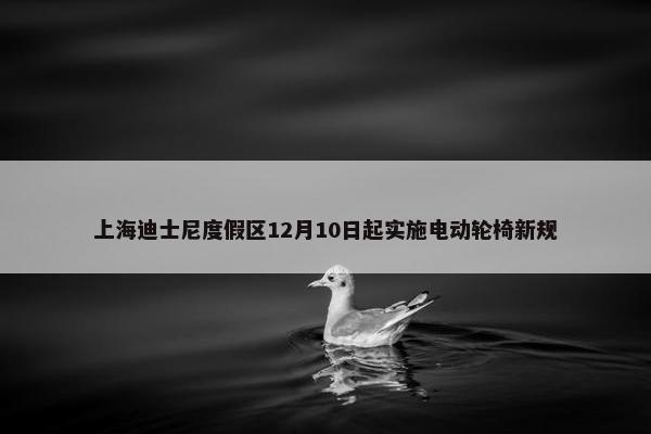 上海迪士尼度假区12月10日起实施电动轮椅新规