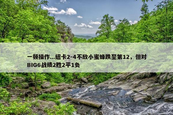 一顿操作...纽卡2-4不敌小蜜蜂跌至第12，但对BIG6战绩2胜2平1负