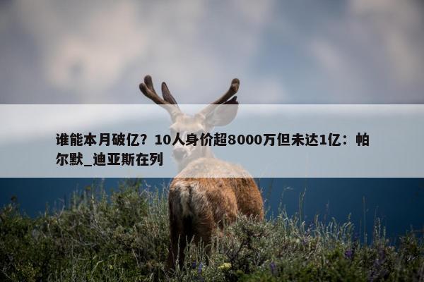 谁能本月破亿？10人身价超8000万但未达1亿：帕尔默_迪亚斯在列