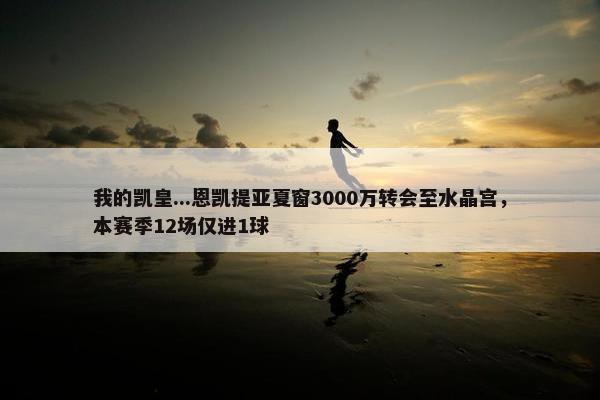 我的凯皇...恩凯提亚夏窗3000万转会至水晶宫，本赛季12场仅进1球