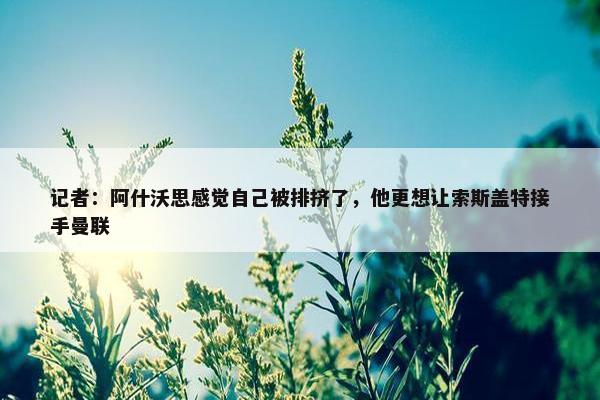 记者：阿什沃思感觉自己被排挤了，他更想让索斯盖特接手曼联