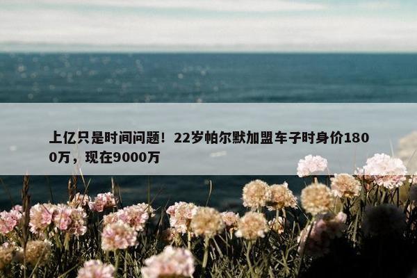 上亿只是时间问题！22岁帕尔默加盟车子时身价1800万，现在9000万