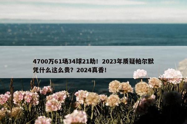 4700万61场34球21助！2023年质疑帕尔默凭什么这么贵？2024真香！