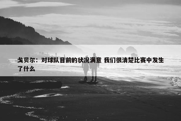 戈贝尔：对球队目前的状况满意 我们很清楚比赛中发生了什么