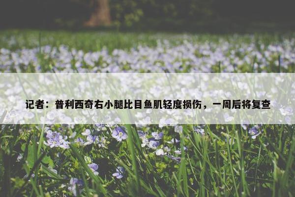 记者：普利西奇右小腿比目鱼肌轻度损伤，一周后将复查