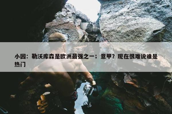 小因：勒沃库森是欧洲最强之一；意甲？现在很难说谁是热门