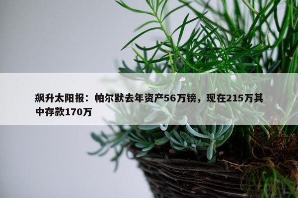 飙升太阳报：帕尔默去年资产56万镑，现在215万其中存款170万