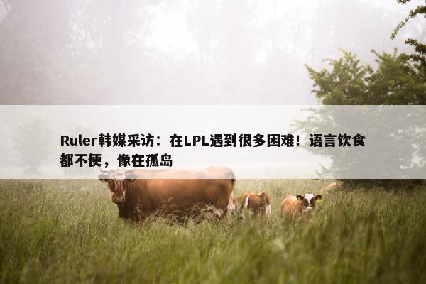 Ruler韩媒采访：在LPL遇到很多困难！语言饮食都不便，像在孤岛