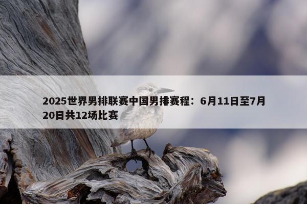 2025世界男排联赛中国男排赛程：6月11日至7月20日共12场比赛