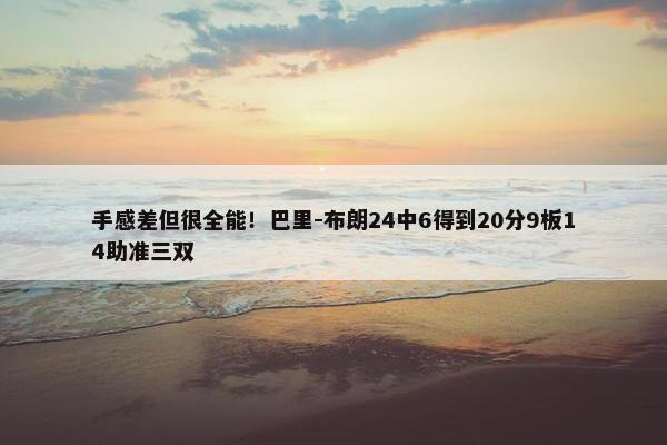 手感差但很全能！巴里-布朗24中6得到20分9板14助准三双