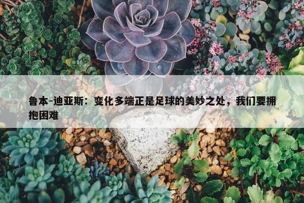 鲁本-迪亚斯：变化多端正是足球的美妙之处，我们要拥抱困难