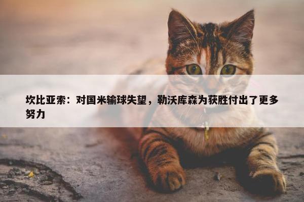 坎比亚索：对国米输球失望，勒沃库森为获胜付出了更多努力