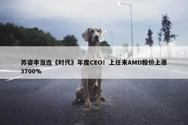 苏姿丰当选《时代》年度CEO！上任来AMD股价上涨3700%