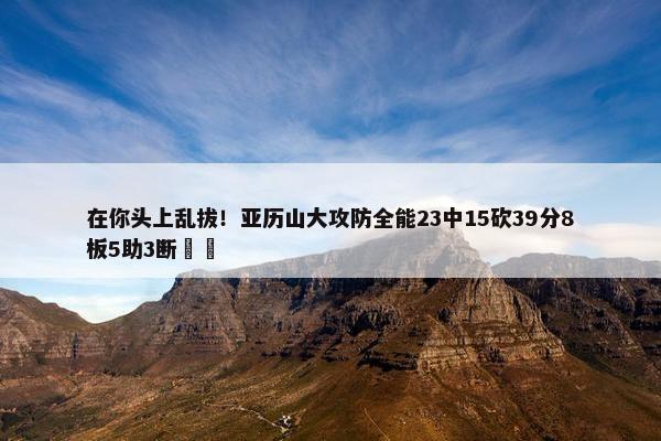 在你头上乱拔！亚历山大攻防全能23中15砍39分8板5助3断⚡️