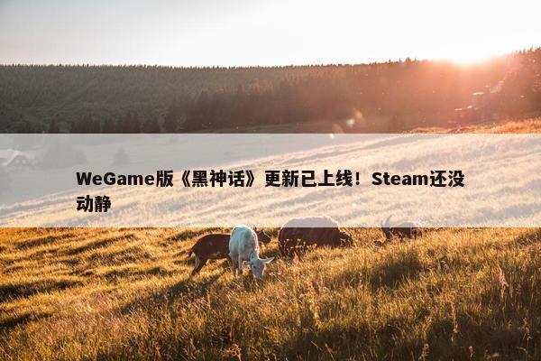 WeGame版《黑神话》更新已上线！Steam还没动静