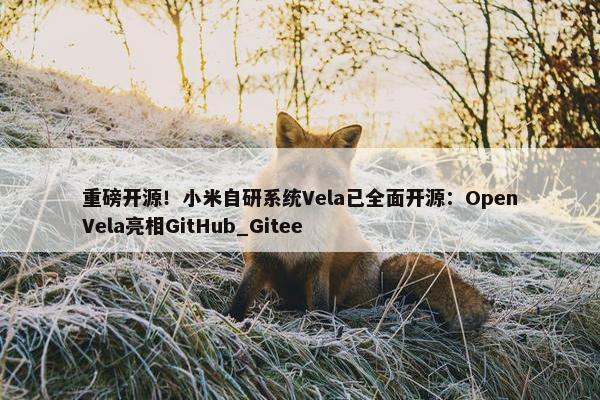 重磅开源！小米自研系统Vela已全面开源：OpenVela亮相GitHub_Gitee