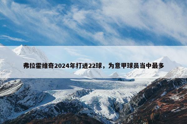 弗拉霍维奇2024年打进22球，为意甲球员当中最多