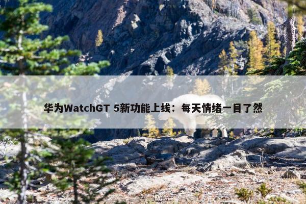 华为WatchGT 5新功能上线：每天情绪一目了然