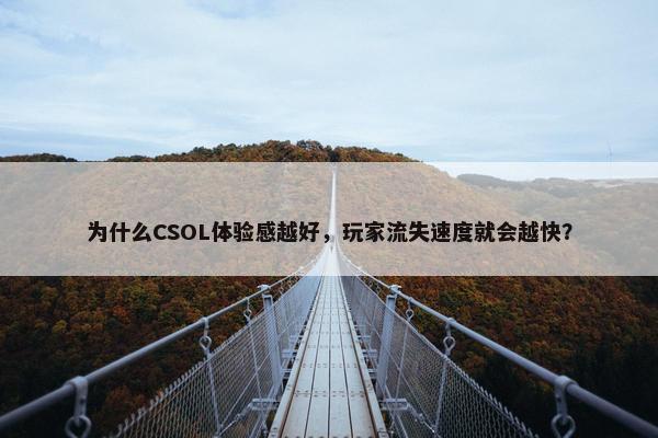 为什么CSOL体验感越好，玩家流失速度就会越快？