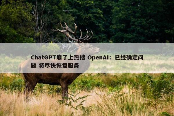 ChatGPT崩了上热搜 OpenAI：已经确定问题 将尽快恢复服务